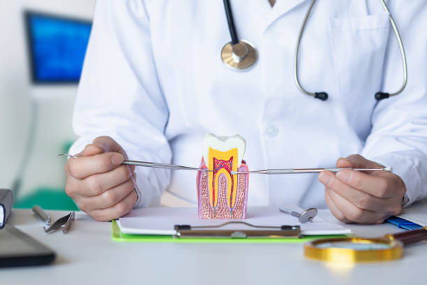 Best Emergency Tooth Extraction in Scissors, TX